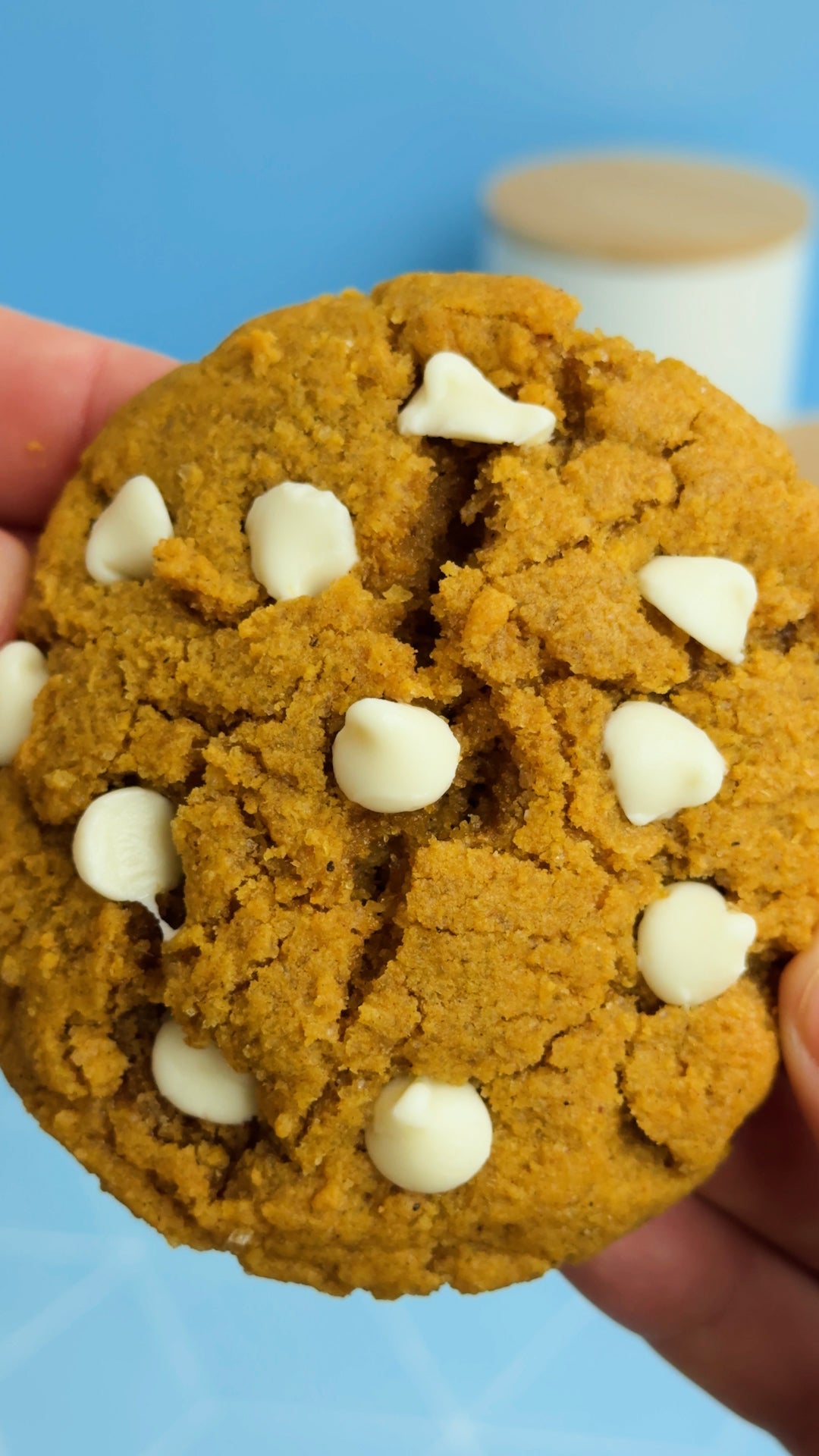 Organic Pumpkin Snow-Kissed Cookies