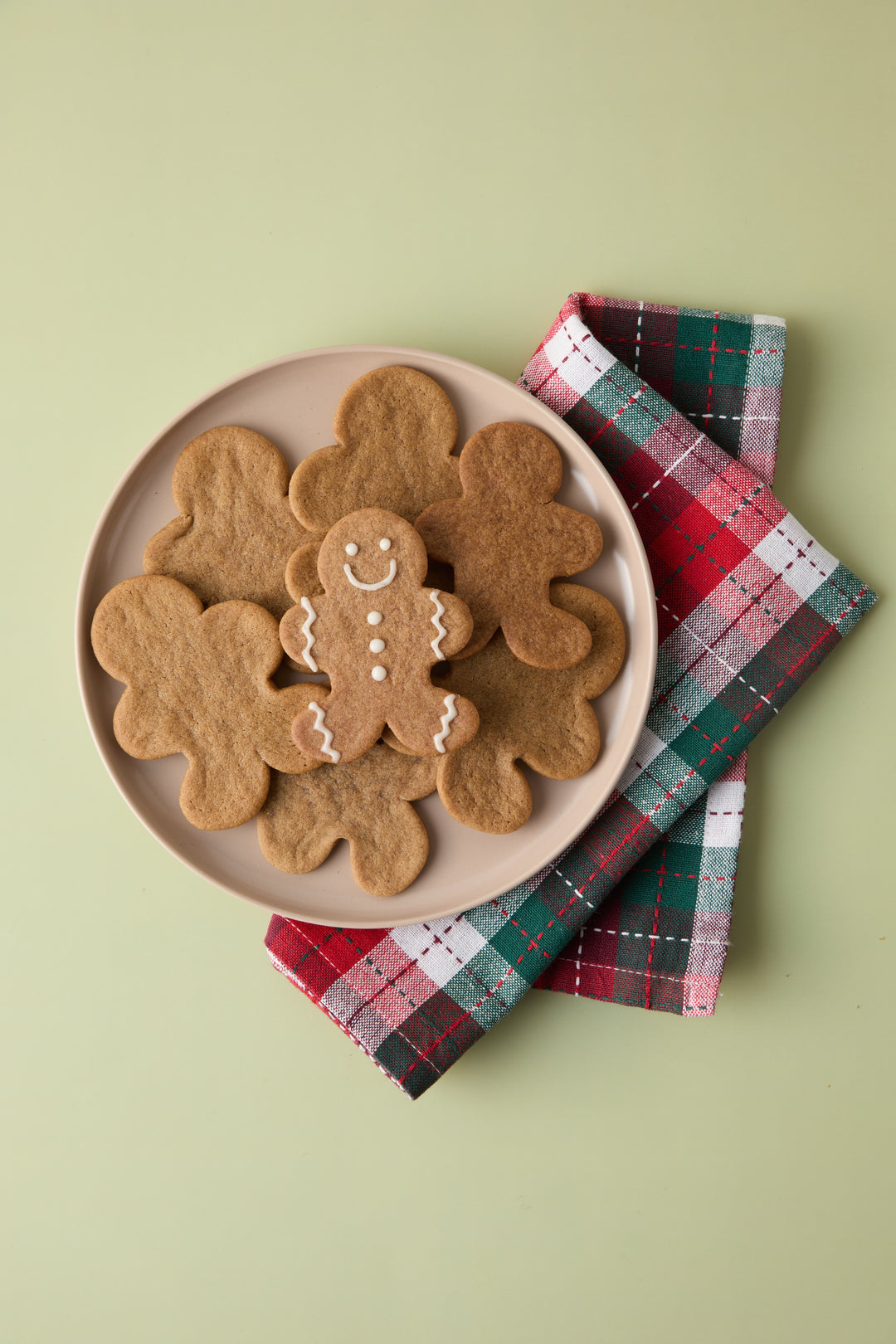 Bakery Style Holiday Iced Gingerbread Cookie Dough Kit